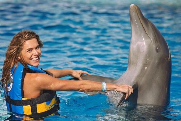 Punta Cana: Swim with Dolphins in the Pool Punta Cana: Swim with Dolphins Encounter