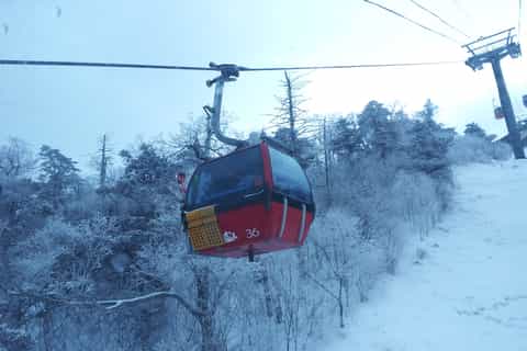 Seoul: Yongpyong skistedstur med valgfri skipakke