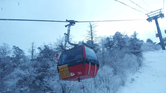 seoul yongpyong ski resort tour with optional ski package