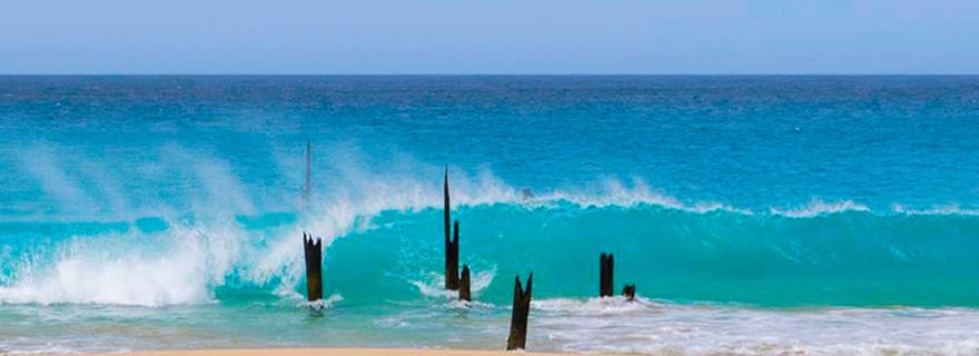 Île Maio : Visite guidée d'une journée complète avec petit-déjeuner