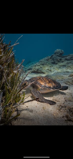 Discover Scuba Diving in Protaras. First Time Diving Made Easy and FUN.