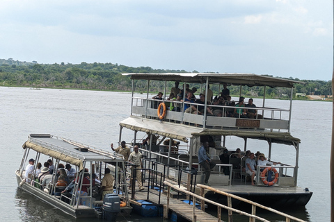Kampala: 2-Day Best Murchison Falls Wildlife Adventure Tour