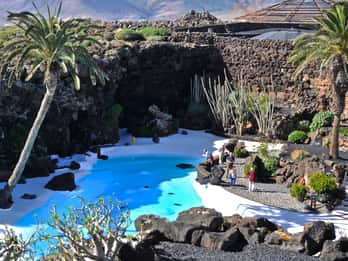 Lanzarote: Northern Half-Day Trip