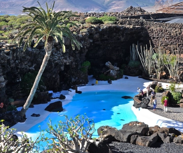 Lanzarote: Northern Half-Day Trip