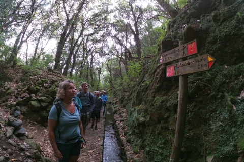 Eiland Madeira: wandeling Caldeirão Verde Levada