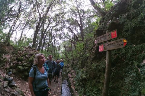 Eiland Madeira: wandeling Caldeirão Verde Levada