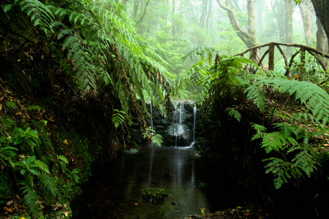 Isla de Madeira: ruta levada en Caldeirão Verde