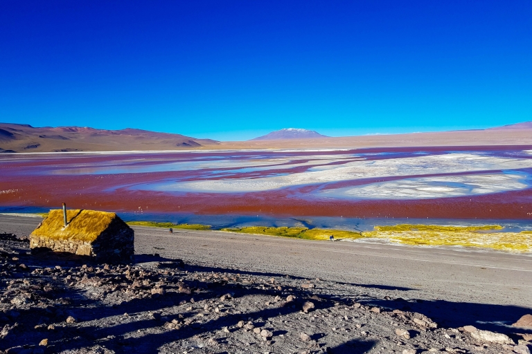 La Paz: Uyuni-zoutvlakten & San Pedro de Atacama 3-daagse tour