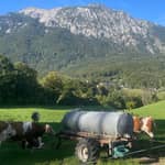 Bad Reichenhall: tour in e-bike con vista e birreria all'aperto