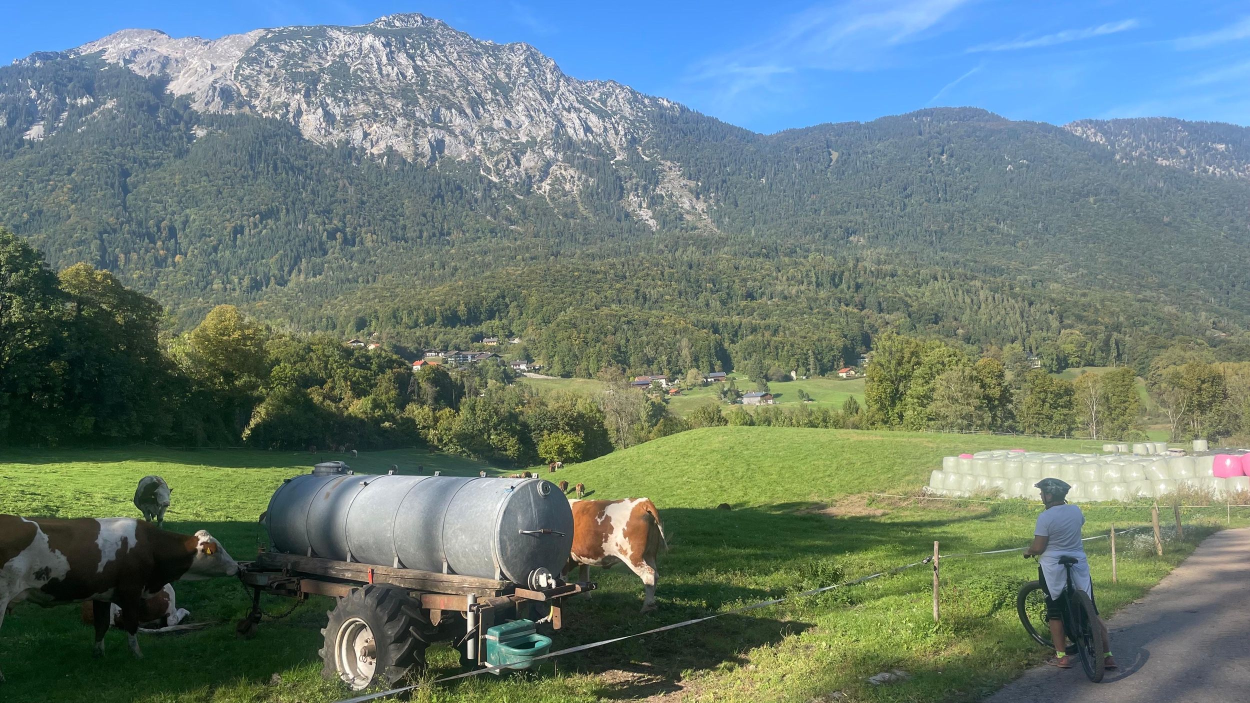 Bad Reichenhall: E-Bike Panorama und Biergarten-Tour