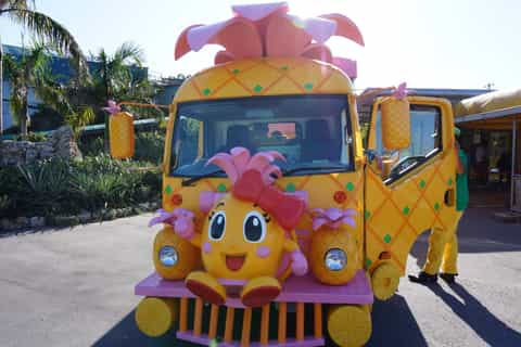 Nago Pineapple Park Admission Ticket