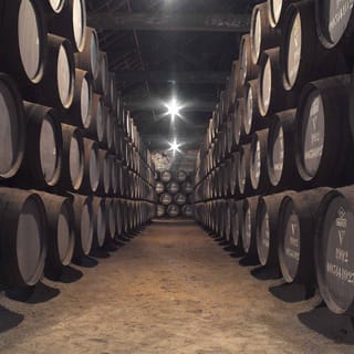 Graham's Port Lodge Tour e degustação premium com harmonização