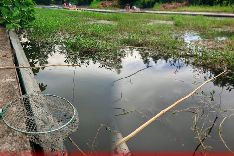 上海至崇明：生态·文化·体验之旅西班牙语、法语或俄语指南