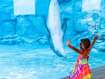 Clearwater Marine Aquarium: Eintrittskarte Clearwater Marine Aquarium: Eintrittskarte
