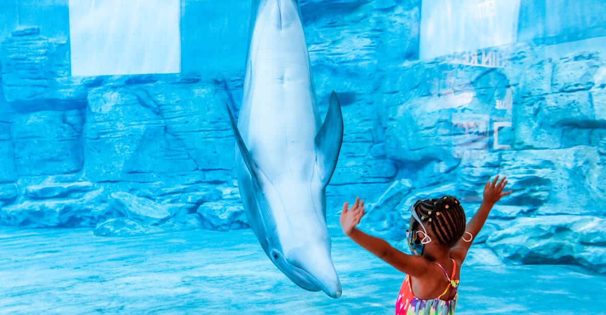 Clearwater EcoCertified Marine Aquarium General Admission GetYourGuide