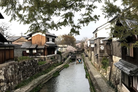 Kyoto: 1 oder 2 Tage Mietwagen1-Tages-Vermietung