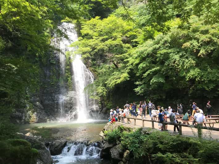 Osaka : promenade dans la forêt de Minoh, cascade géante et déjeuner
