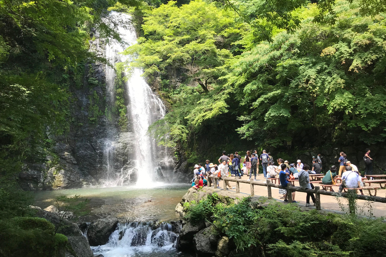 Marche dans la forêt de Mino à Osaka et chute d&#039;eau géante avec déjeuner local