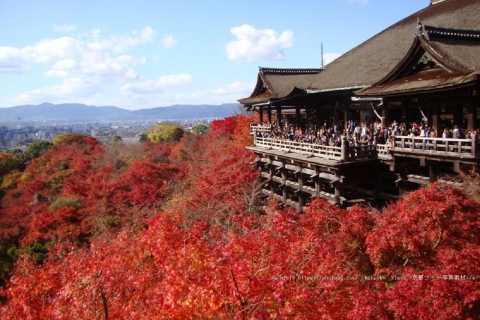 Kyoto: 1 oder 2 Tage Mietwagen1-Tages-Vermietung