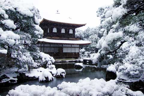 Kyoto: 1-Hour Ginkaku-ji Temple Guided Walking Tour
