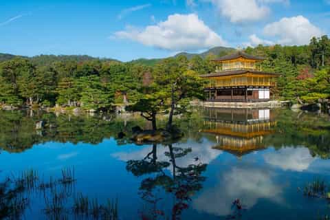 Kyoto: 1-Hour Kinkaku-ji Temple Guided Walking Tour