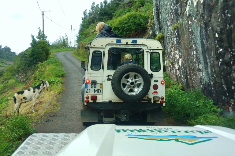 Madera: Jeep Tour i Levada Walk ComboWycieczka z miejscem spotkań dla pasażerów statków wycieczkowych