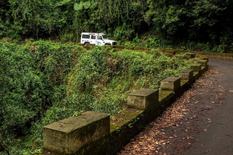 Madera: Jeep Tour i Levada Walk ComboWycieczka z miejscem spotkań dla pasażerów statków wycieczkowych