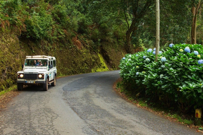 Madeira: Geländewagen-Tour und Levada-WanderungTour mit Treffpunkt für Kreuzfahrtpassagiere