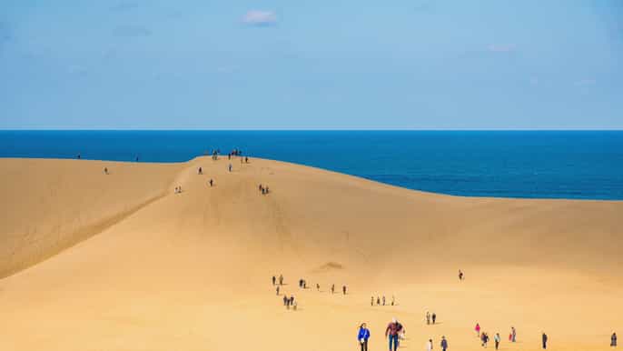 tottori private walking tour with local guide