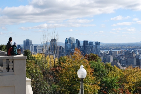 Montréal : visite de la ville d'une demi-journéeVisite de l'après-midi