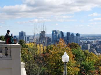 Montreal: Halbtägige Stadtrundfahrt in kleinen Gruppen Montreal: Halbtägige Stadtrundfahrt in kleinen Gruppen