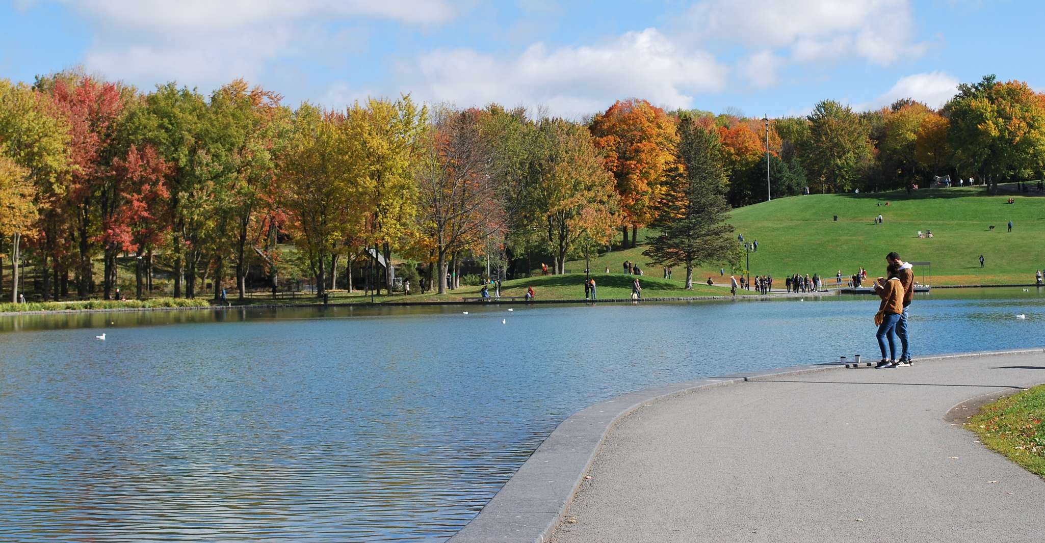 Montreal: Half-Day City Tour photo 18