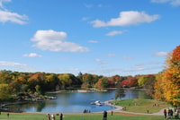Montreal, Full-Full-Full-Small Group City Tour - Housity