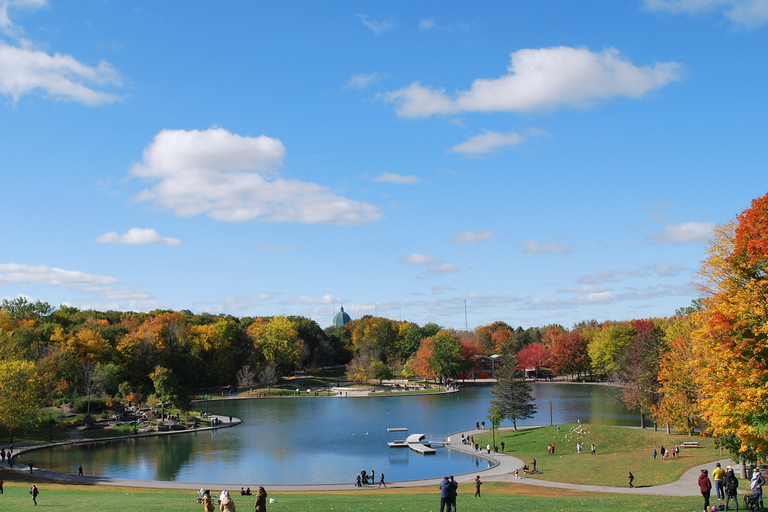 Montreal: Full-Day Small Group City Tour Shared Tour