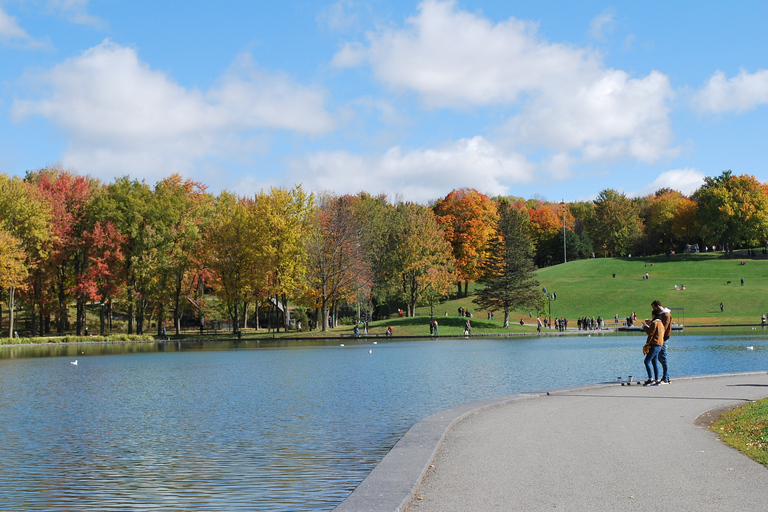 Montreal: Full-Day Small Group City Tour Private Tour