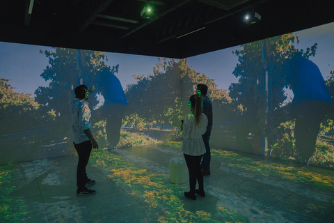 City Winery - The art of wine in Uruguay With classic tasting