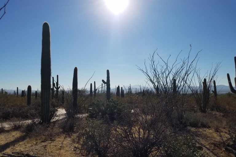 Van Phoenix: Tombstone en Bisbee-dagtour