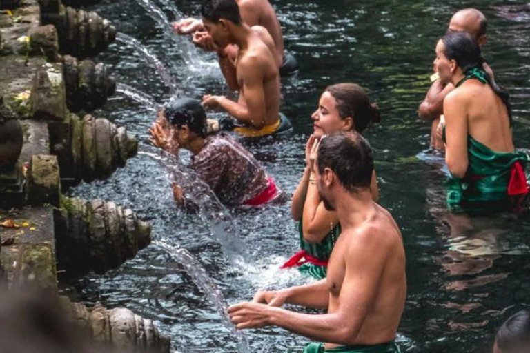 Ubud: Foresta delle scimmie, terrazze di riso, tempio e cascata PetanuUbud: Foresta delle scimmie, terrazze di riso, tempio e cascata di Petanu
