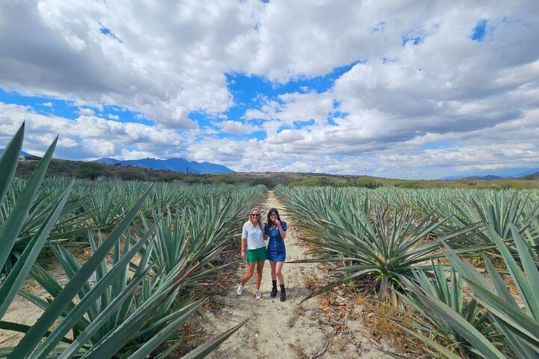 Oaxaca: Hierve el Agua, Mezcal Distillery, and Lunch Tour