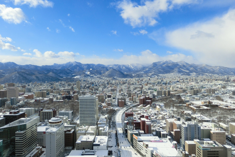 Sapporo: entrada al observatorio de la torre JRBoleto de admisión