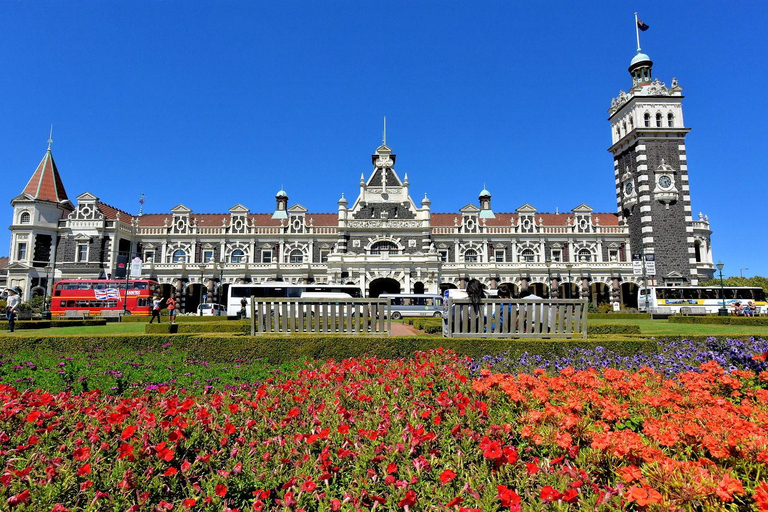 Dunedin City & Otago Peninsula Scenery Day Tour Private Tour