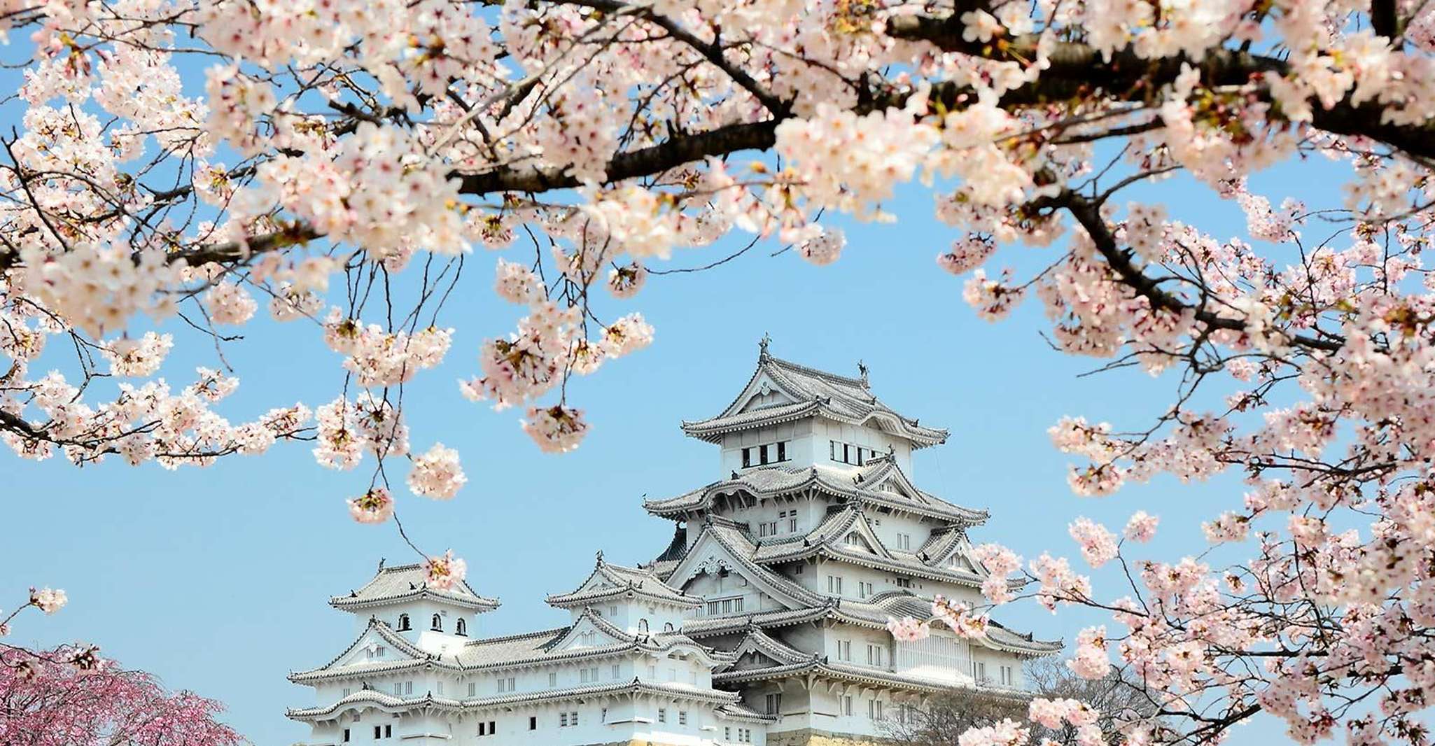 Himeji, tour privato personalizzato con guida in licenza - Hizvo