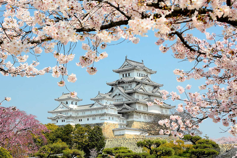 Himeji: Private maßgeschneiderte Tour mit lizenziertem Guide6-Stunden-Tour