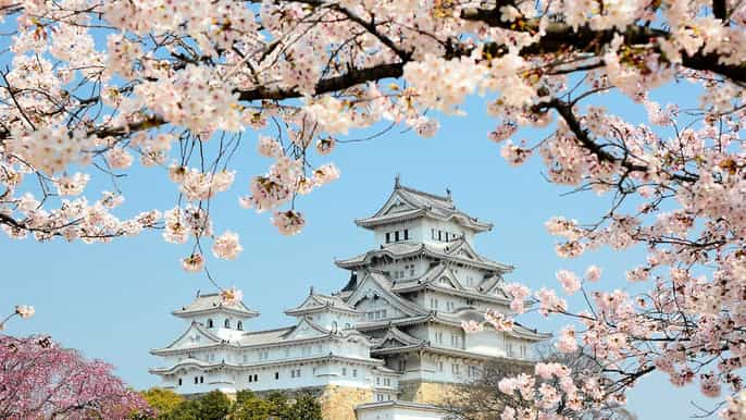 himeji private customized tour with licensed guide
