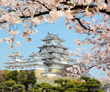 Private Customized Tour with Licensed Guide