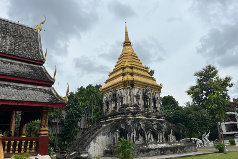 Chiang Mai: Tuk Tuk Temple Tour with Guide and Water