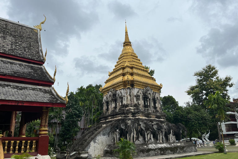 Chiang Mai: Tuk Tuk Temple Tour with Guide and Water