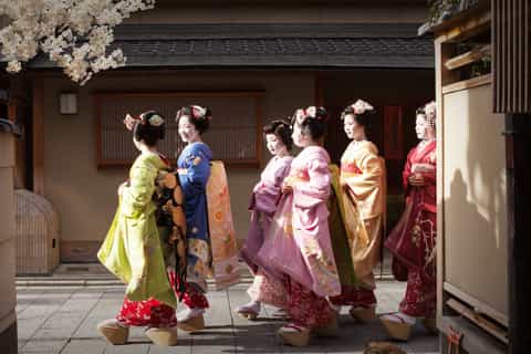 Kyoto : 1-Hour Gion Evening Highlights Guided Walking Tour