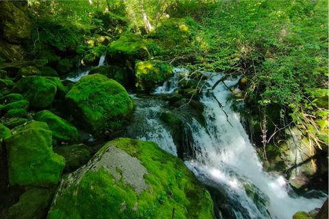 From Sofia: Iskar Gorge Hiking & Skaklya Waterfall Day Trip
