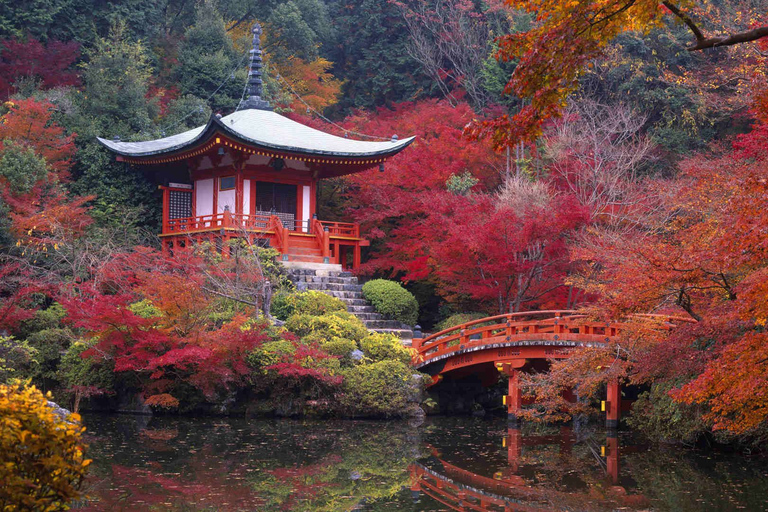 Kyoto: visite privée personnalisable des jardins japonais